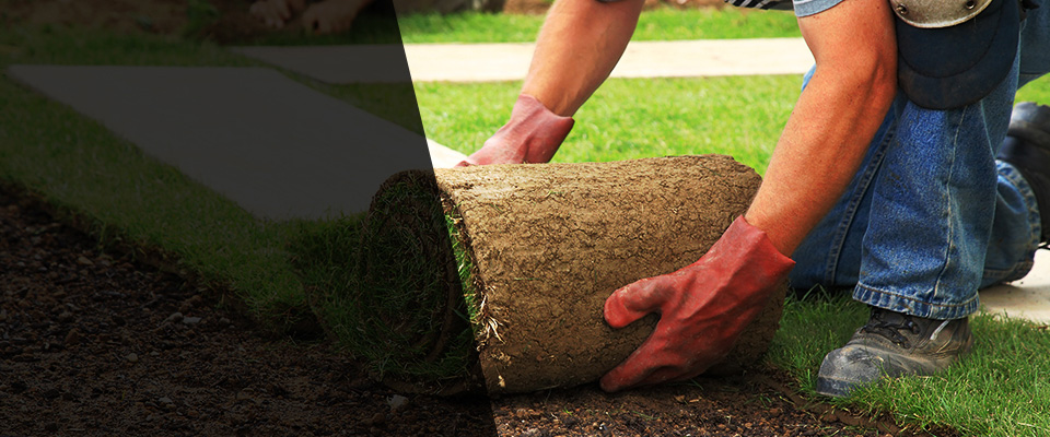 Jarrettsville Landscapers